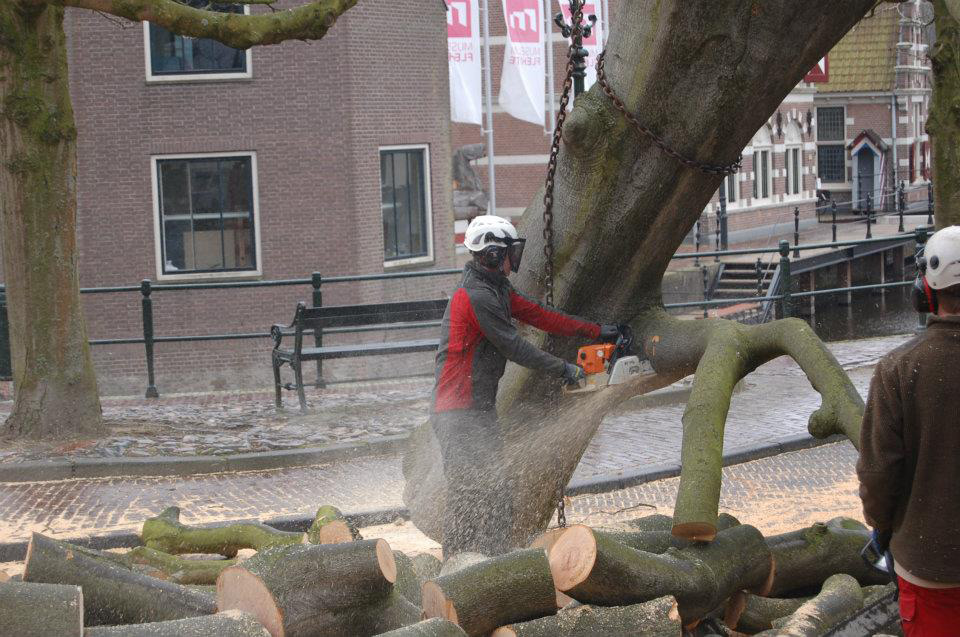 Kappen beuk met 200 tons telescoopkraan