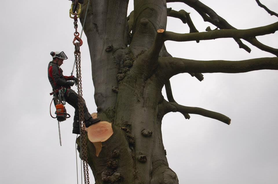 Kappen beuk met 200 tons telescoopkraan