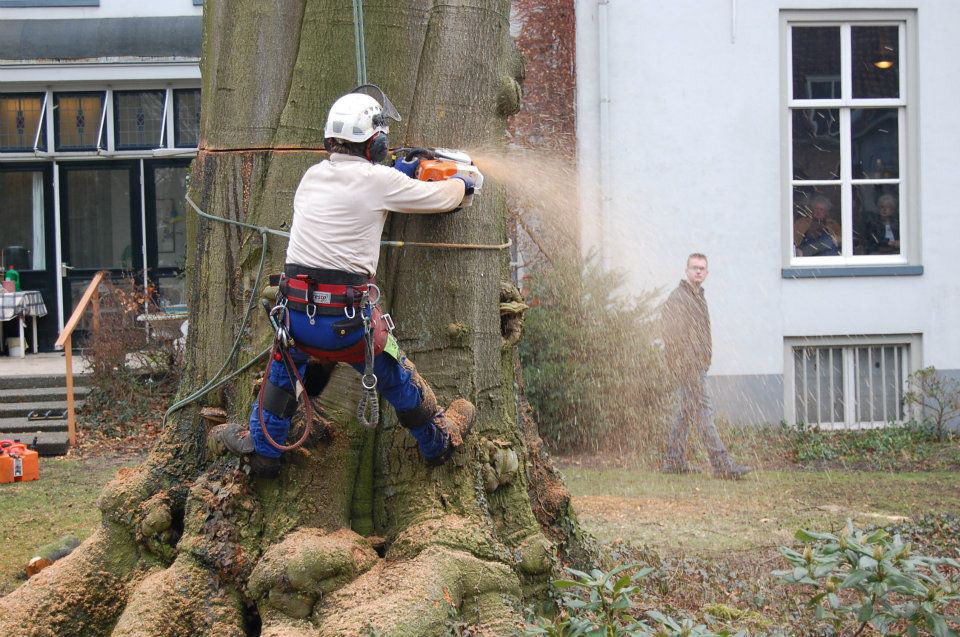 Kappen beuk met 200 tons telescoopkraan