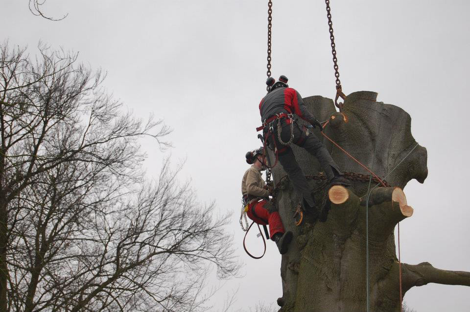 Kappen beuk met 200 tons telescoopkraan